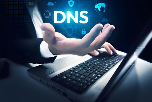 DNS服务端口号
