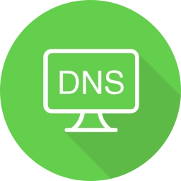 dns异常